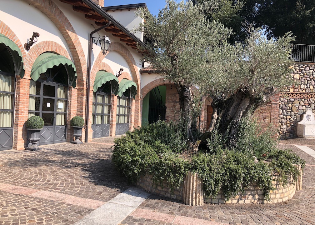 Weingut Corte Aura. Ein mit roten Steinen gepflasterter Hof. Im Hintergrund ein Teil des Hofgebäudes mit großen Türen und grünen Markisen im Hintergrund, in einem begrünten Rondell ein Olivenbaum 