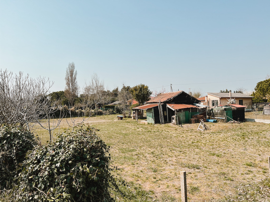 Slow Travel in Venedig: Ein geführter Ausflug auf die Insel Sant‘Erasmo