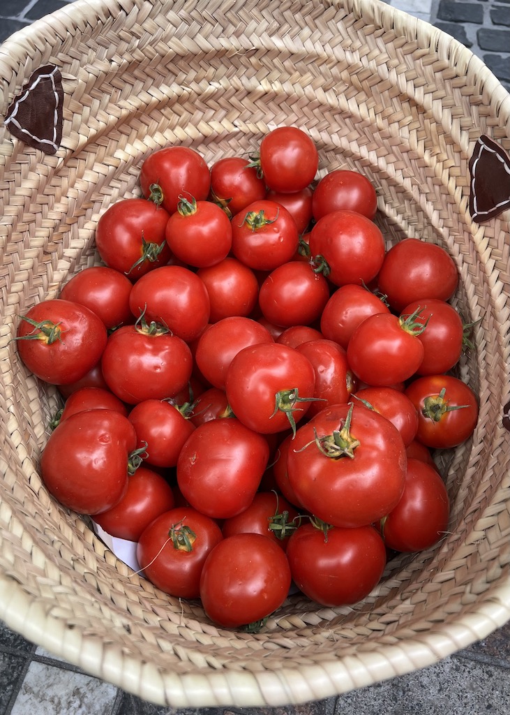 Ein Korb voller knallroter Tomaten aus denen Tomatensoße wird - die Basis vieler italienischer Gerichte.